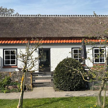 Villa Hof Aan Zee Dishoek Exterior foto